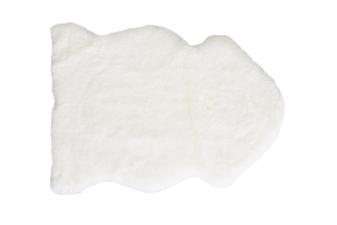 NZ Shorn Single Sheepskin - Ivory